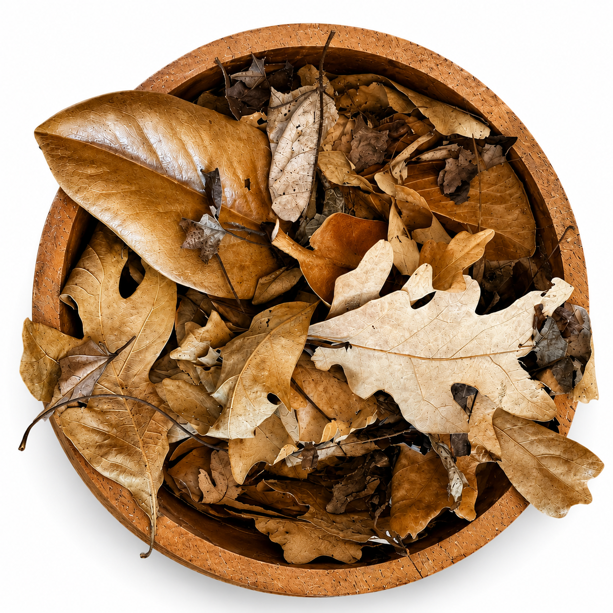 Botanicals & Leaf Litter