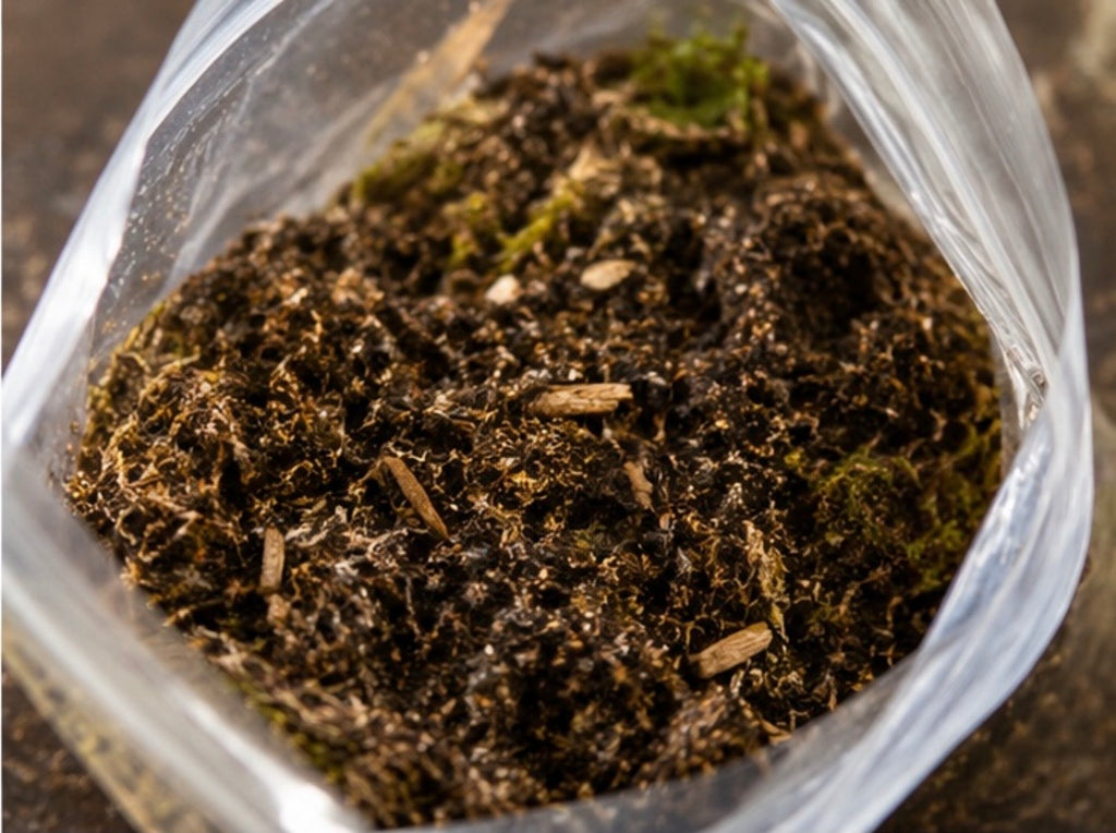 Close-up view inside a bag of Wild Enclosures Bioactive Substrate Mix showing the rich texture of organic soil, decomposed wood, bark particles, and sphagnum moss. This natural substrate blend supports isopods, springtails, beneficial microfauna, tropical plants, reptiles, amphibians, and healthy bioactive terrarium ecosystems.