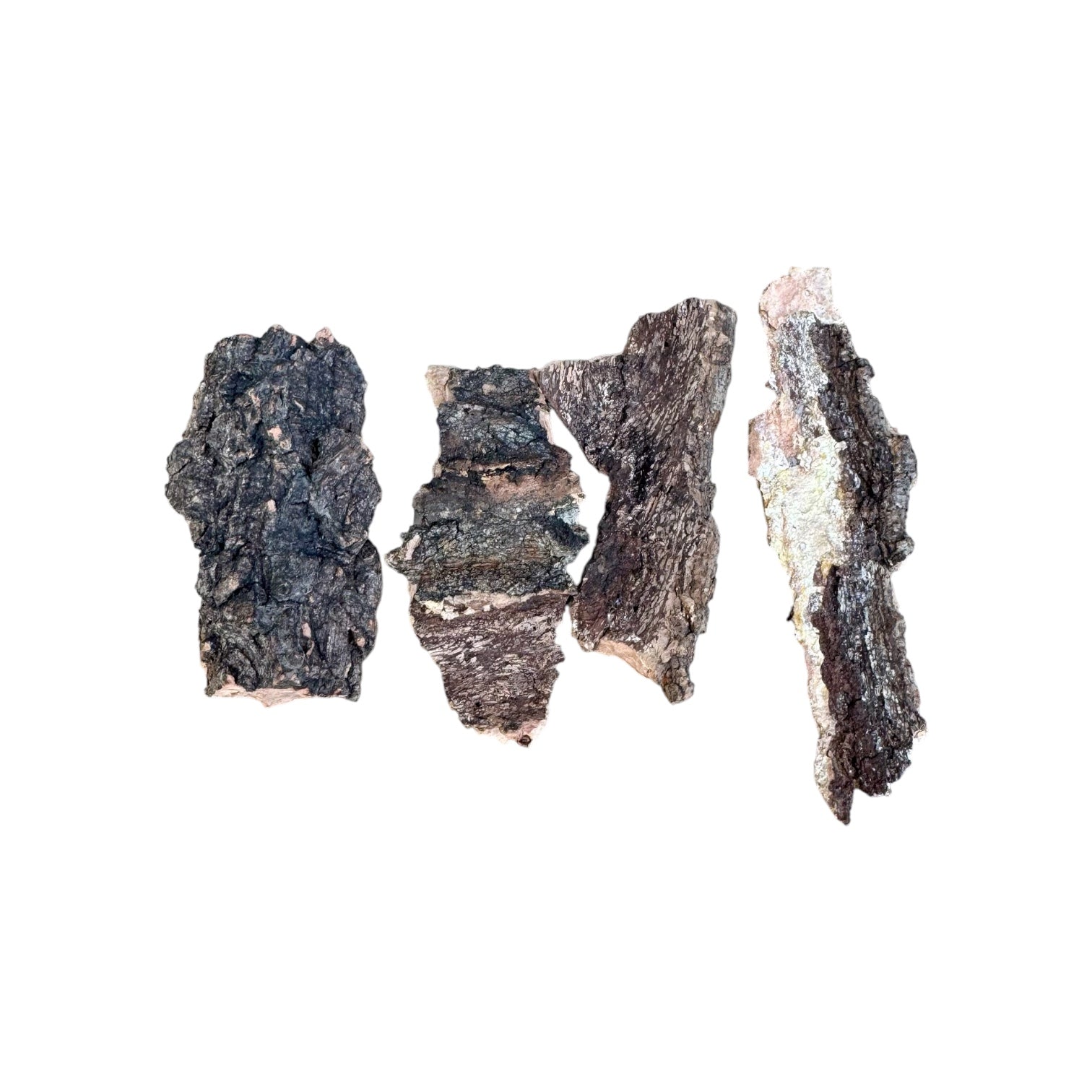 1 oz natural cork bark chunks spread on a white background, featuring four irregular pieces of lightweight cork bark ideal for bioactive terrariums, isopod enclosures, reptile habitats, and vivariums.