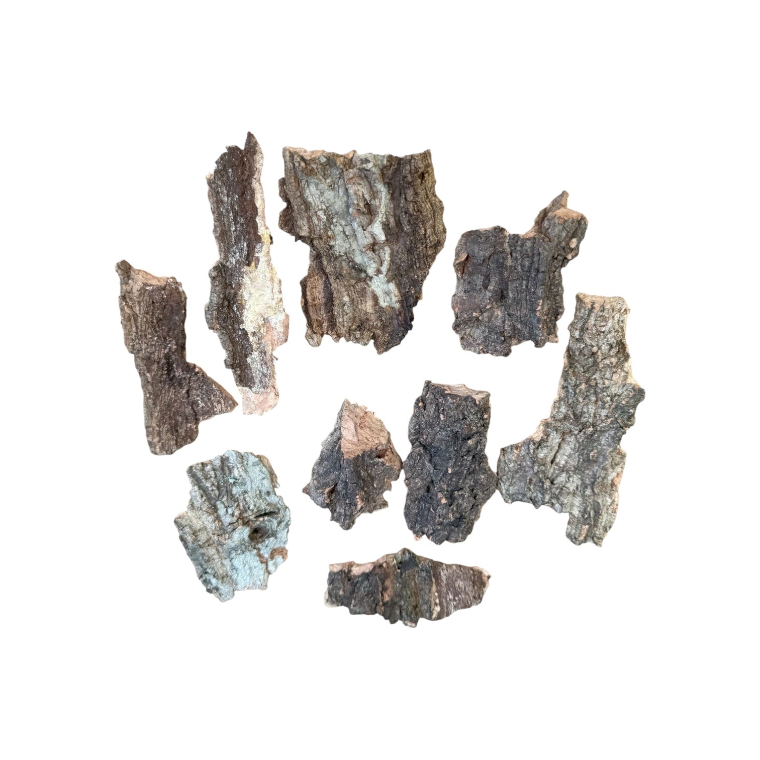 2.5 oz natural cork bark chunks displayed on a white background, featuring a variety of lightweight bark pieces in assorted shapes and sizes, perfect for bioactive terrariums, vivariums, isopod habitats, reptile enclosures, and natural décor.