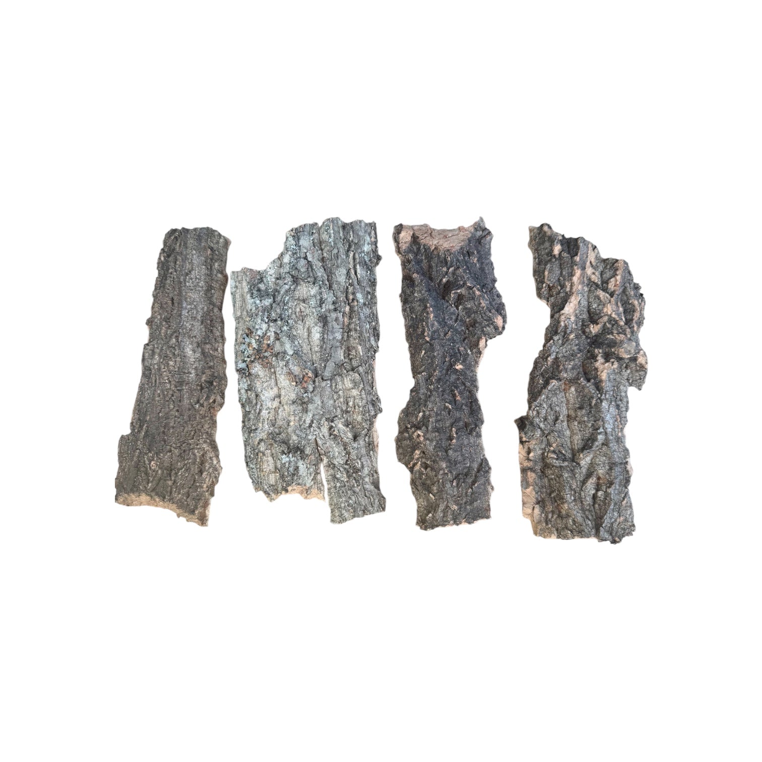 6 oz natural cork bark slabs displayed on a white background, featuring four large, rugged bark pieces with varied textures and natural crevices, ideal for bioactive terrariums, vivariums, reptile habitats, isopod enclosures, and climbing surfaces.