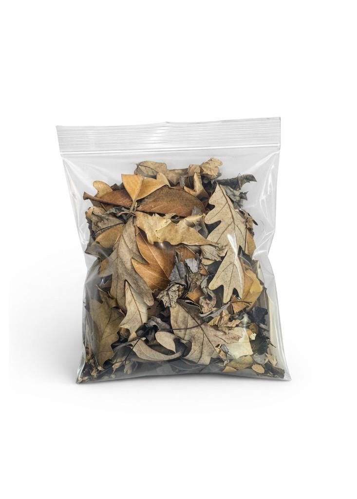 Dried leaf litter mix in a clear resealable zipper bag on a white background, showing assorted oak and mixed leaves for bioactive terrariums/aquariums.