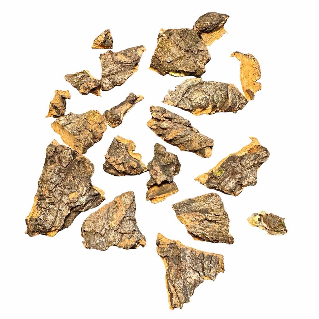 Assorted cork bark chips pieces for bioactive enclosures isolated on white background