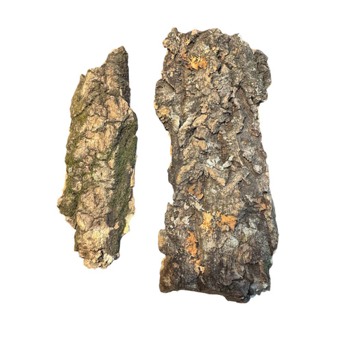 Two pieces of cork bark with a rough, textured surface. The bark is primarily brown with patches of green and tan, and a rugged, natural appearance. The pieces are isolated against a white background.