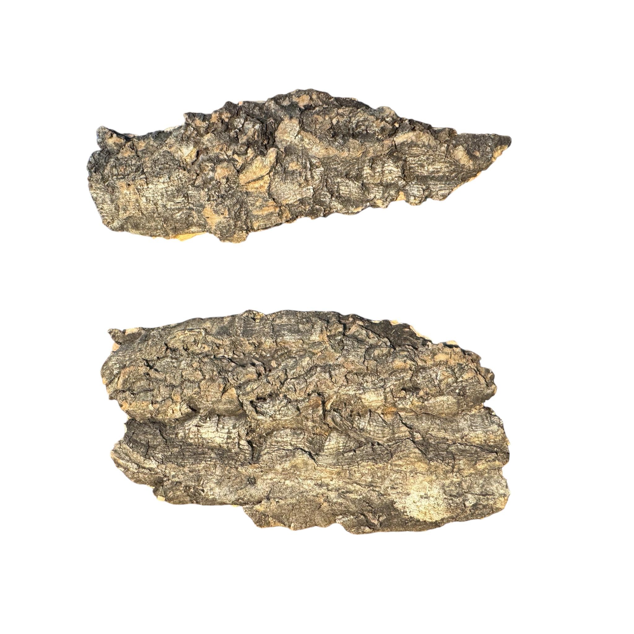 Two pieces of cork bark with a rough, textured surface. The bark is primarily brown with lighter tan and gray patches. The pieces are irregularly shaped, with one being longer and more pointed than the other.