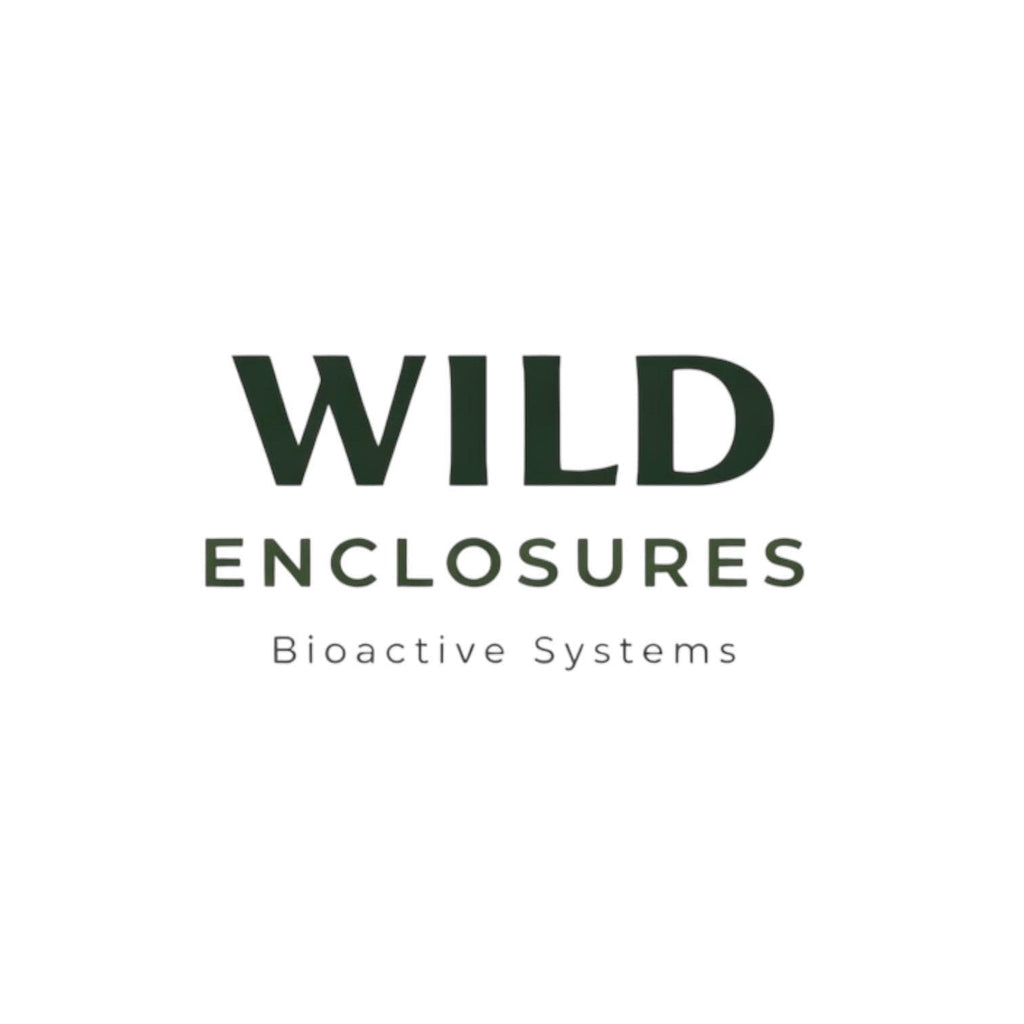 Wild Enclosures logo featuring a dark green gecko silhouette above the word “WILD” with “ENCLOSURES” below on a white background.