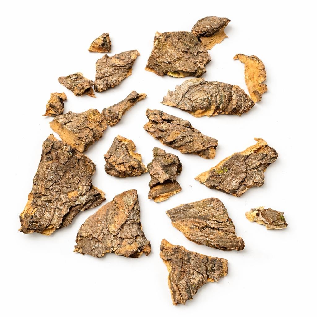 Assorted cork bark chips pieces for bioactive enclosures isolated on white background