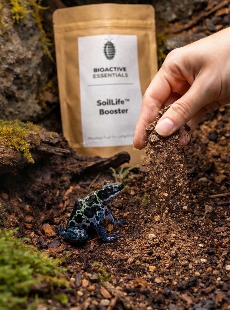 Hand sprinkling SoilLife Booster bioactive soil amendment into a terrarium with a blue poison dart frog and Bioactive Essentials kraft pouch in background