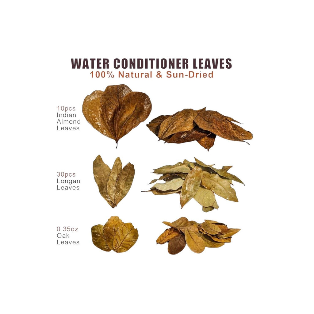 Aquarium botanicals bundle with 10 Indian almond leaves, 30 longan leaves, and 0.35 oz oak leaves for natural blackwater aquariums and shrimp habitats.