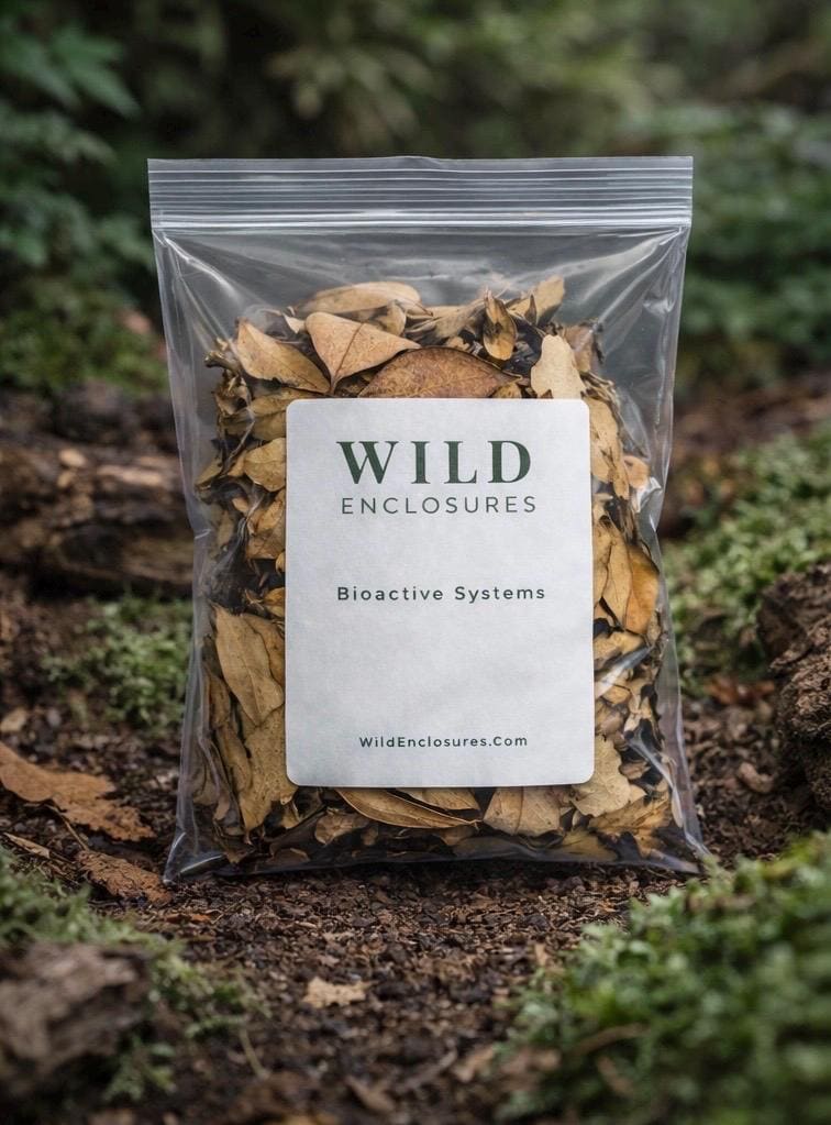 Wild Enclosures hardwood leaf litter blend of maple and white oak leaves in a clear bag, photographed outdoors on natural soil in a forest-style bioactive setting.