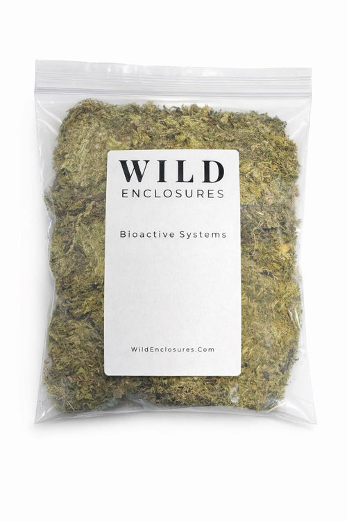 Clear resealable bag filled with dried sphagnum moss labeled “Wild Enclosures Bioactive Systems,” packaged for reptile and bioactive enclosure use.