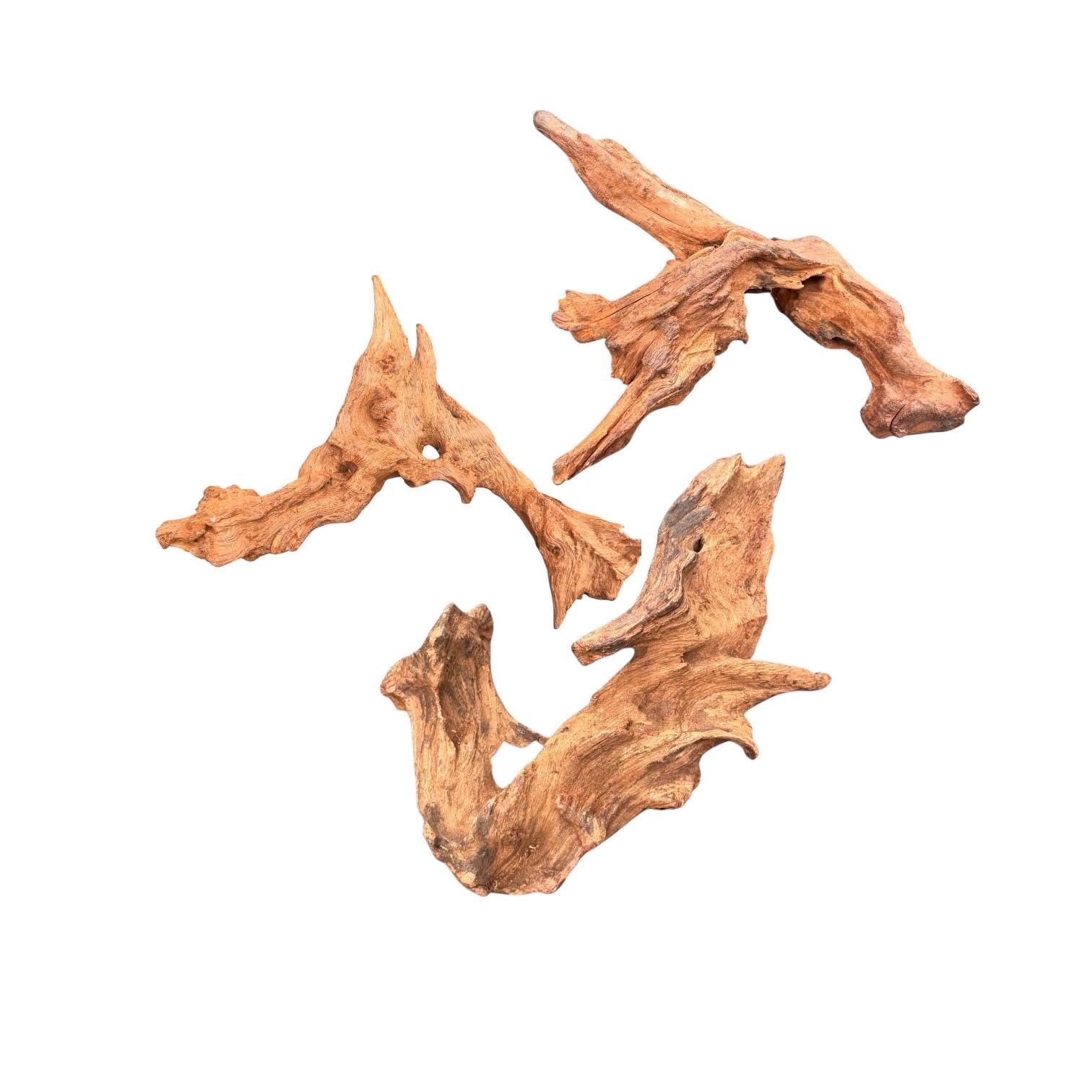 Mopani Wood for Reptile Enclosure, Bioactive Terrarium Natural Driftwood (6–9 Inch)
