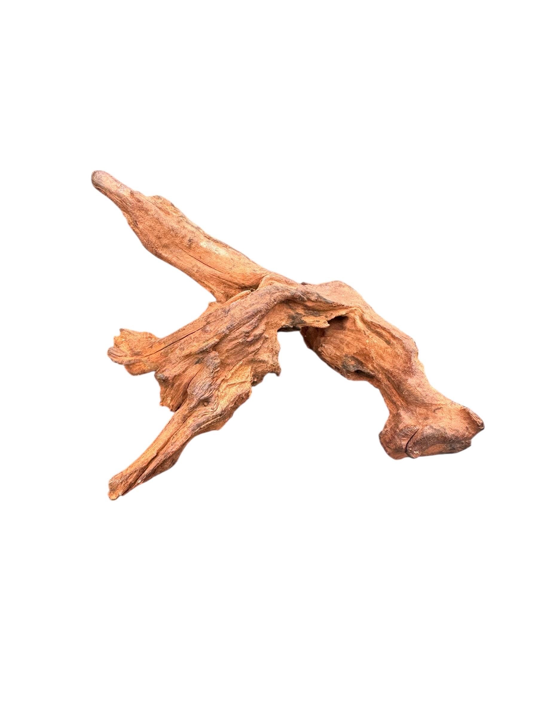 Mopani Wood for Reptile Enclosure, Bioactive Terrarium Natural Driftwood (6–9 Inch)