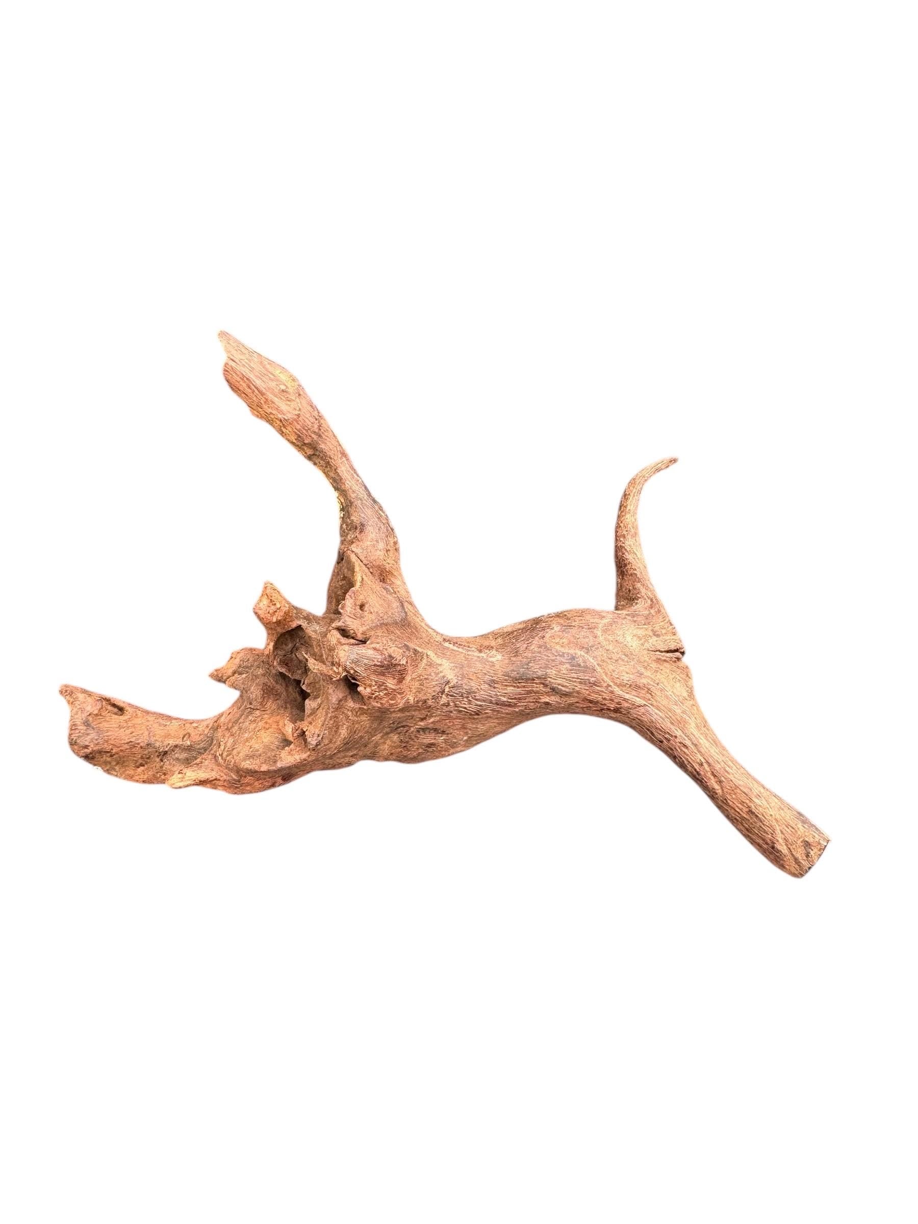 Mopani Wood for Reptile Enclosure, Bioactive Terrarium Natural Driftwood (6–9 Inch)