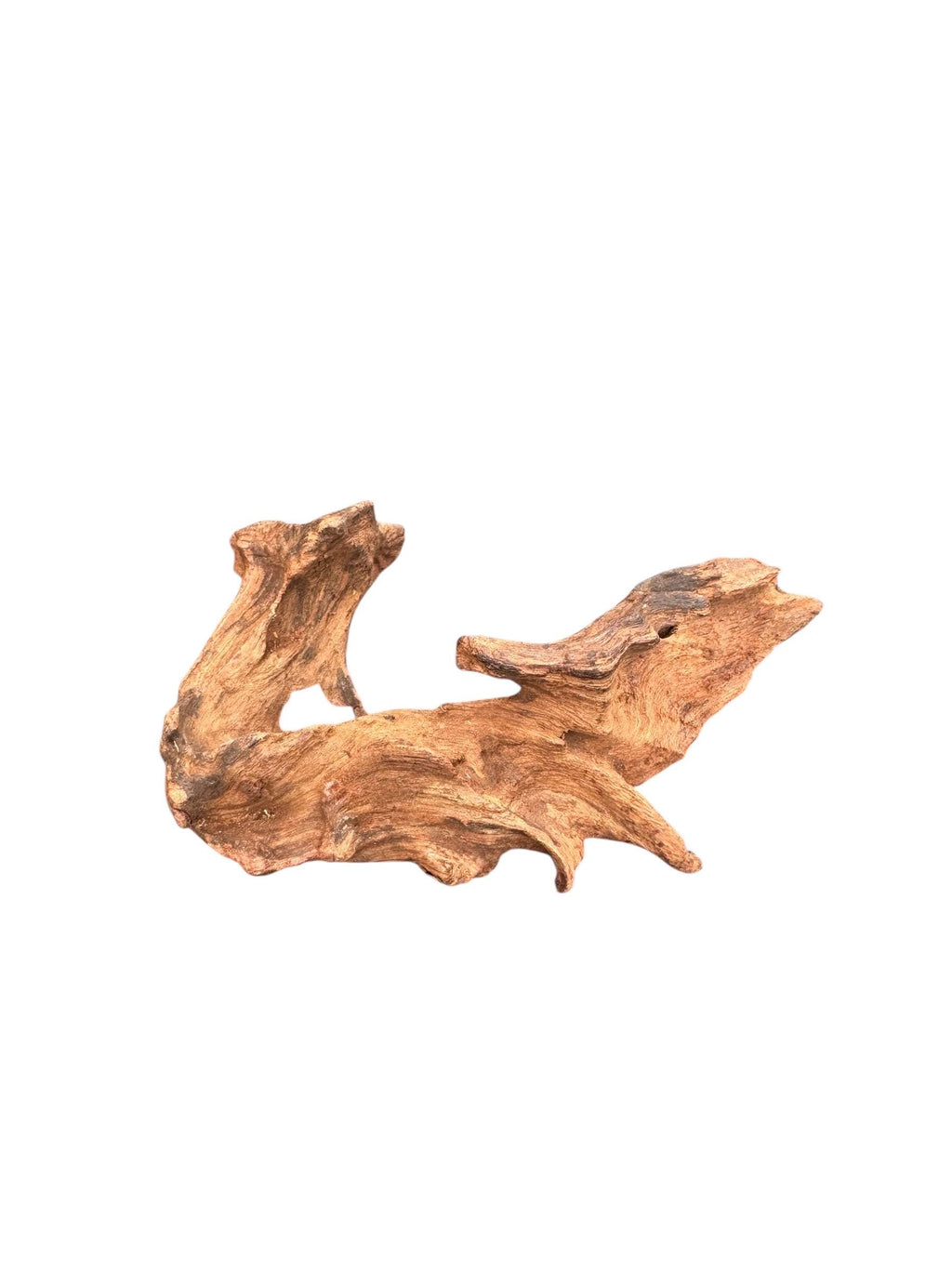 Mopani Wood for Reptile Enclosure, Bioactive Terrarium Natural Driftwood (6–9 Inch)