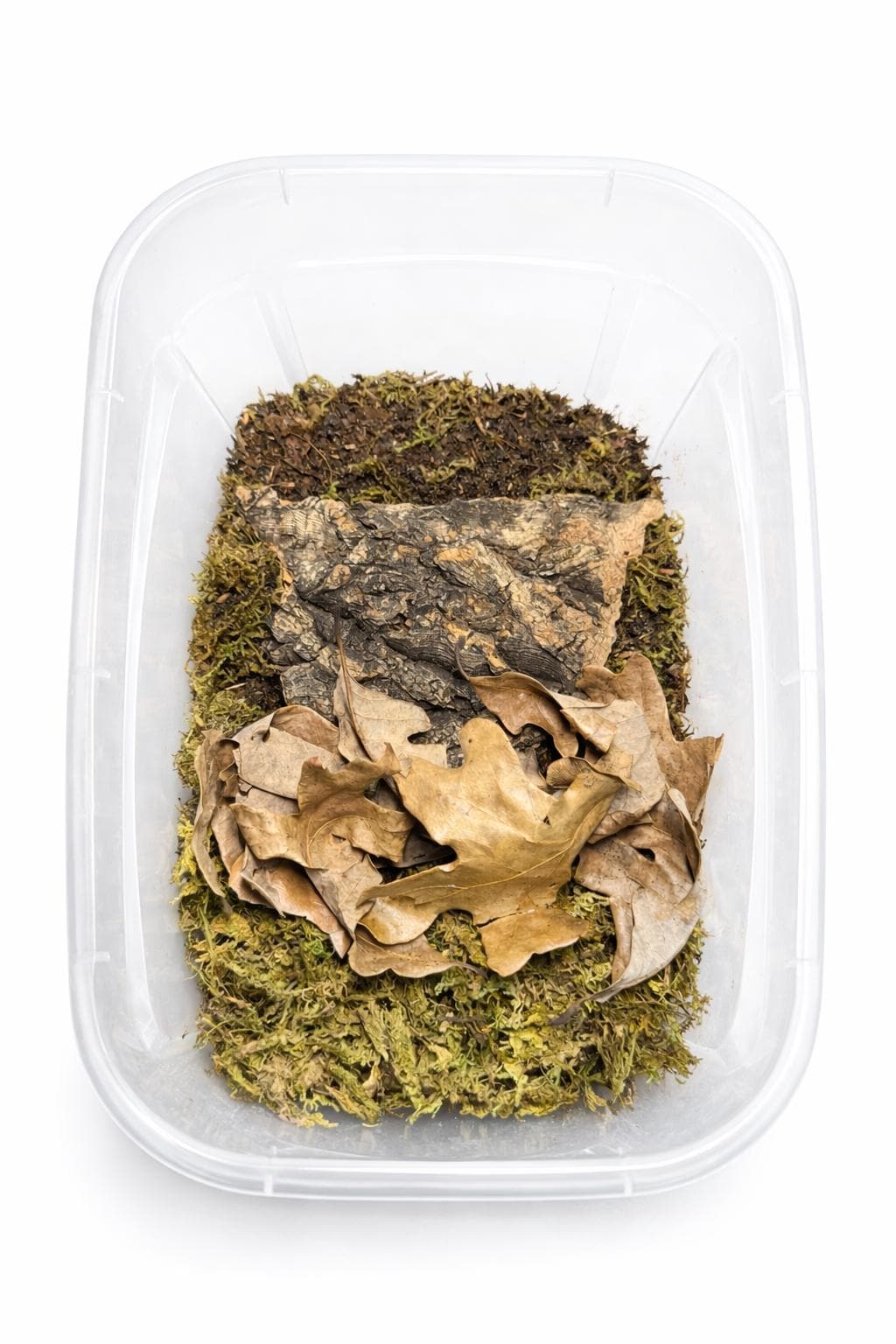 Isopod Bioactive Starter Kit – Soil, Leaf Litter, Moss, Cork Bark Habitat