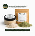 Springtail and isopod food bundle with jar and bioactive substrate pouch for terrarium, vivarium, and reptile cleanup crew setups