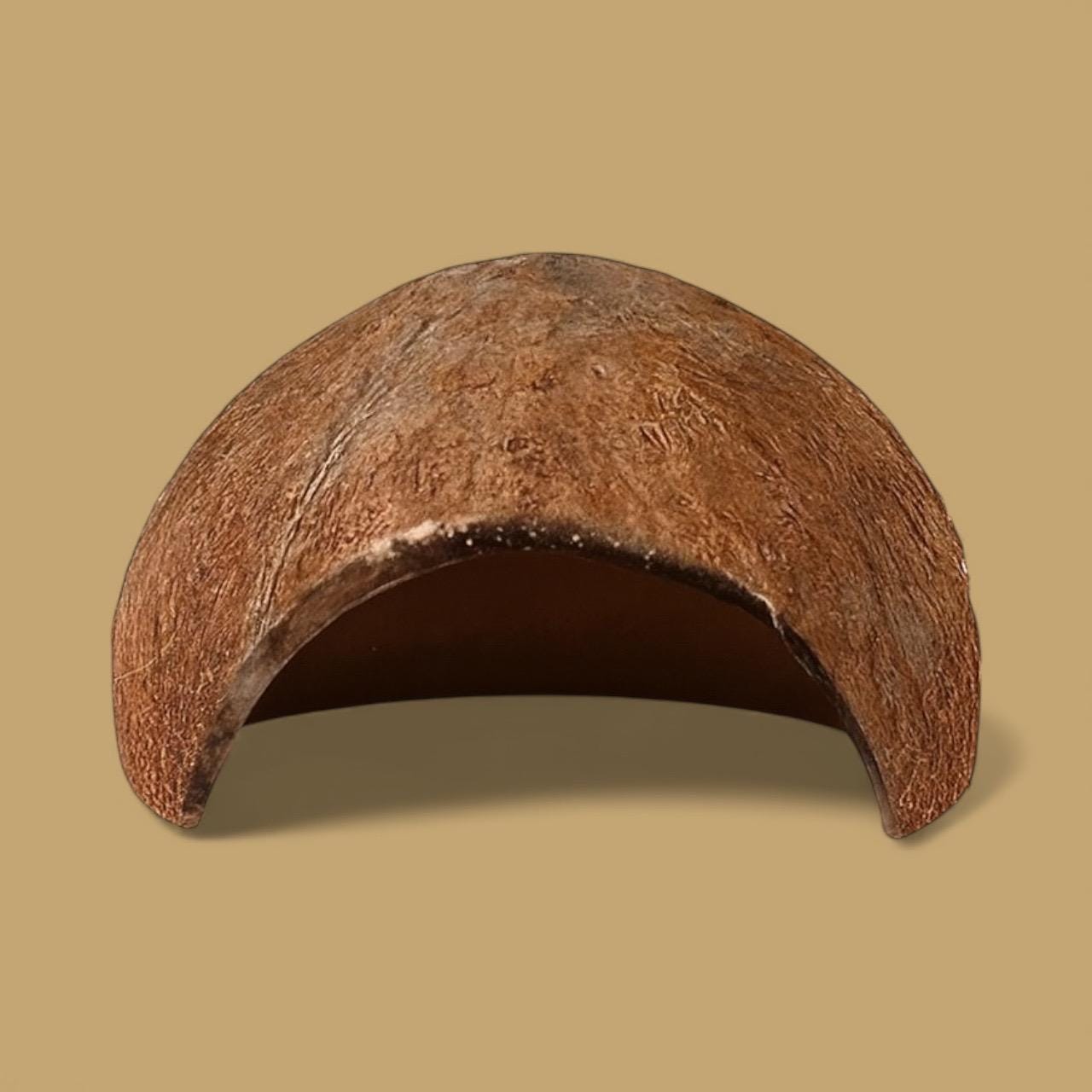 Natural Coconut Hide Cave for Reptiles – 5 inch Gecko, Isopod Bioactive Enclosure Decor