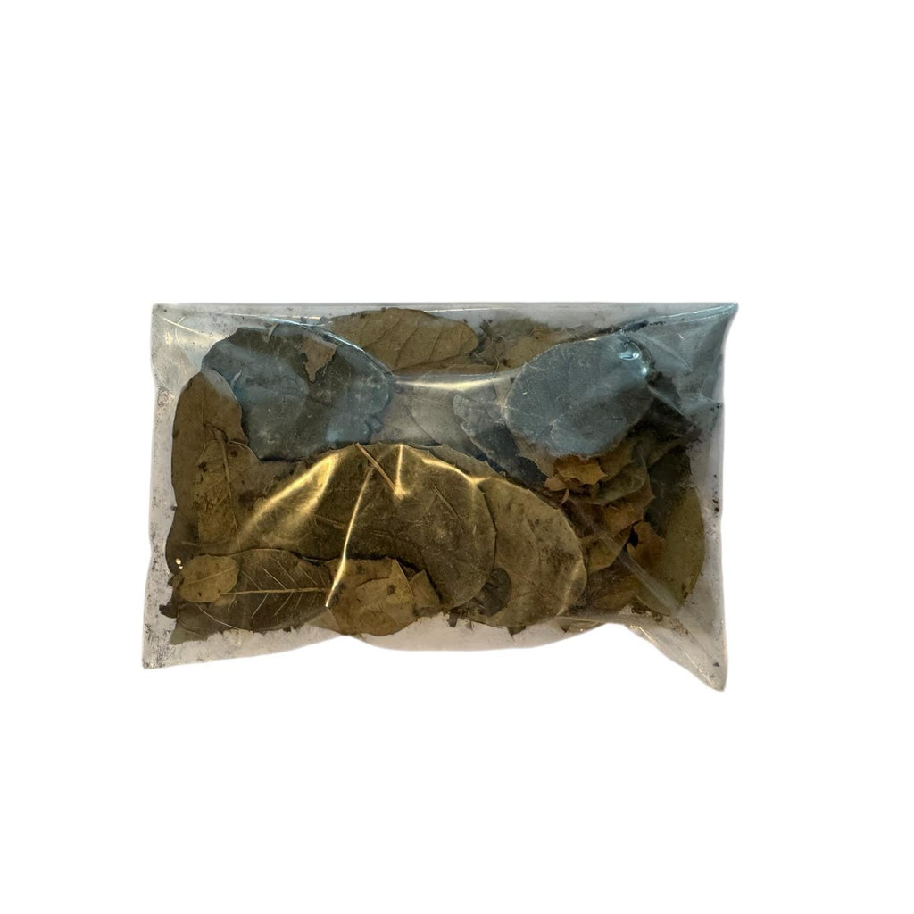 1 oz oak leaf litter in sealed bag for reptiles and isopods, natural bioactive terrarium substrate for frogs snakes and enclosure bedding