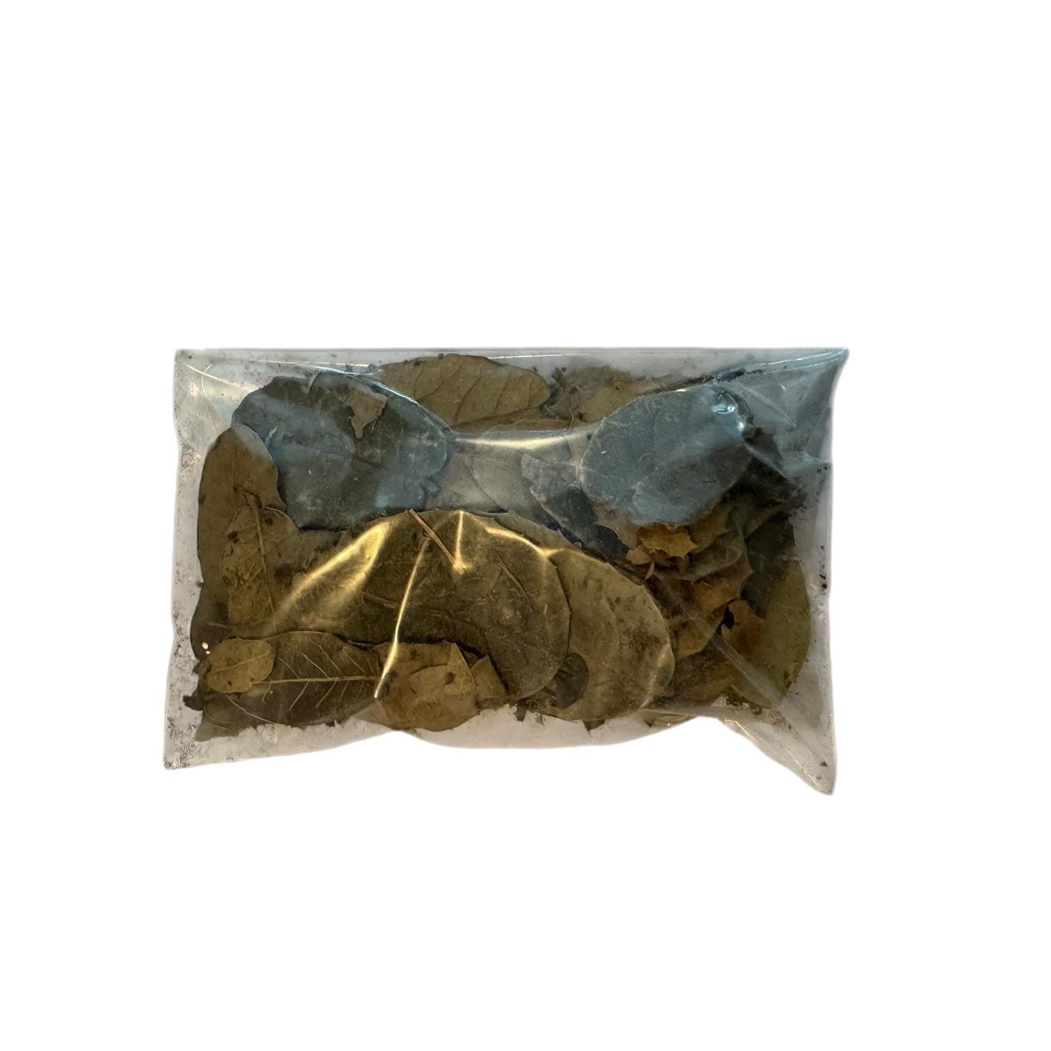 1 oz oak leaf litter in sealed bag for reptiles and isopods, natural bioactive terrarium substrate for frogs snakes and enclosure bedding