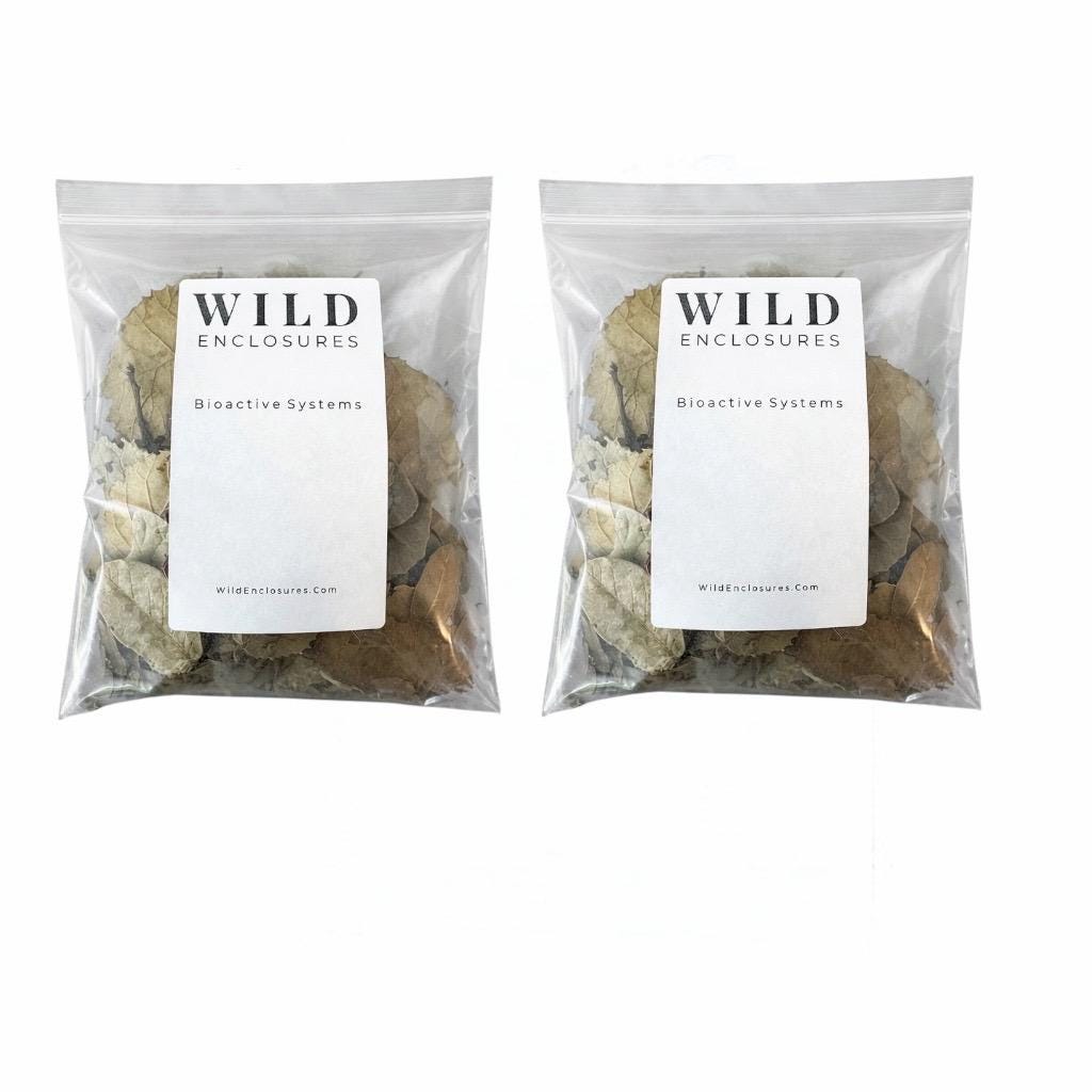 Dry Oak Leaf Litter for Reptiles, Isopods, Terrarium Bedding – Natural Bioactive Substrate