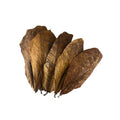 Indian Almond Leaves for Bioactive Terrariums | Catappa Leaves for Isopods, Reptiles, Frogs | Natural Leaf Litter | Wild Enclosures