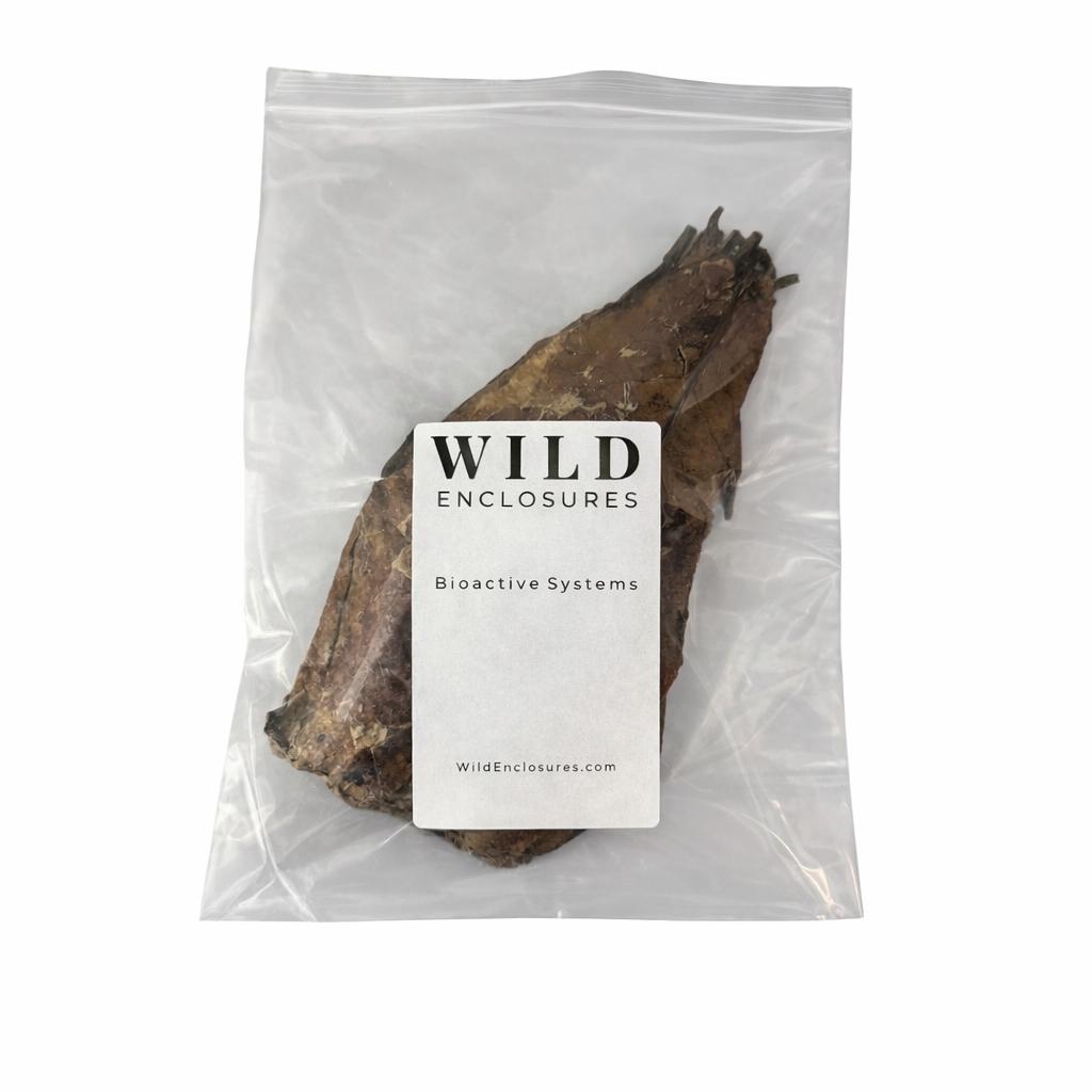 Indian Almond Leaves for Bioactive Terrariums | Catappa Leaves for Isopods, Reptiles, Frogs | Natural Leaf Litter | Wild Enclosures