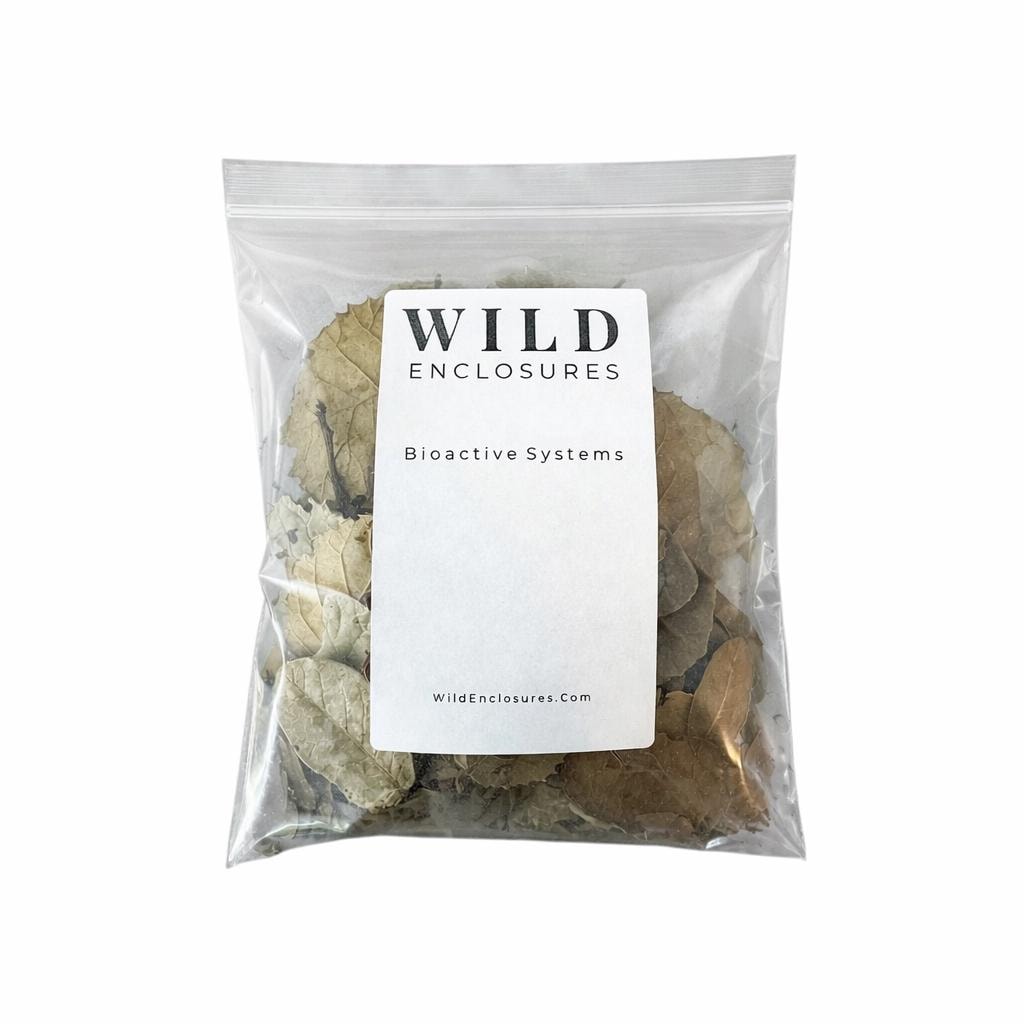 Natural dry oak leaf litter for reptiles and isopods, bioactive terrarium substrate for snakes frogs and cleanup crew bedding in clear packaging