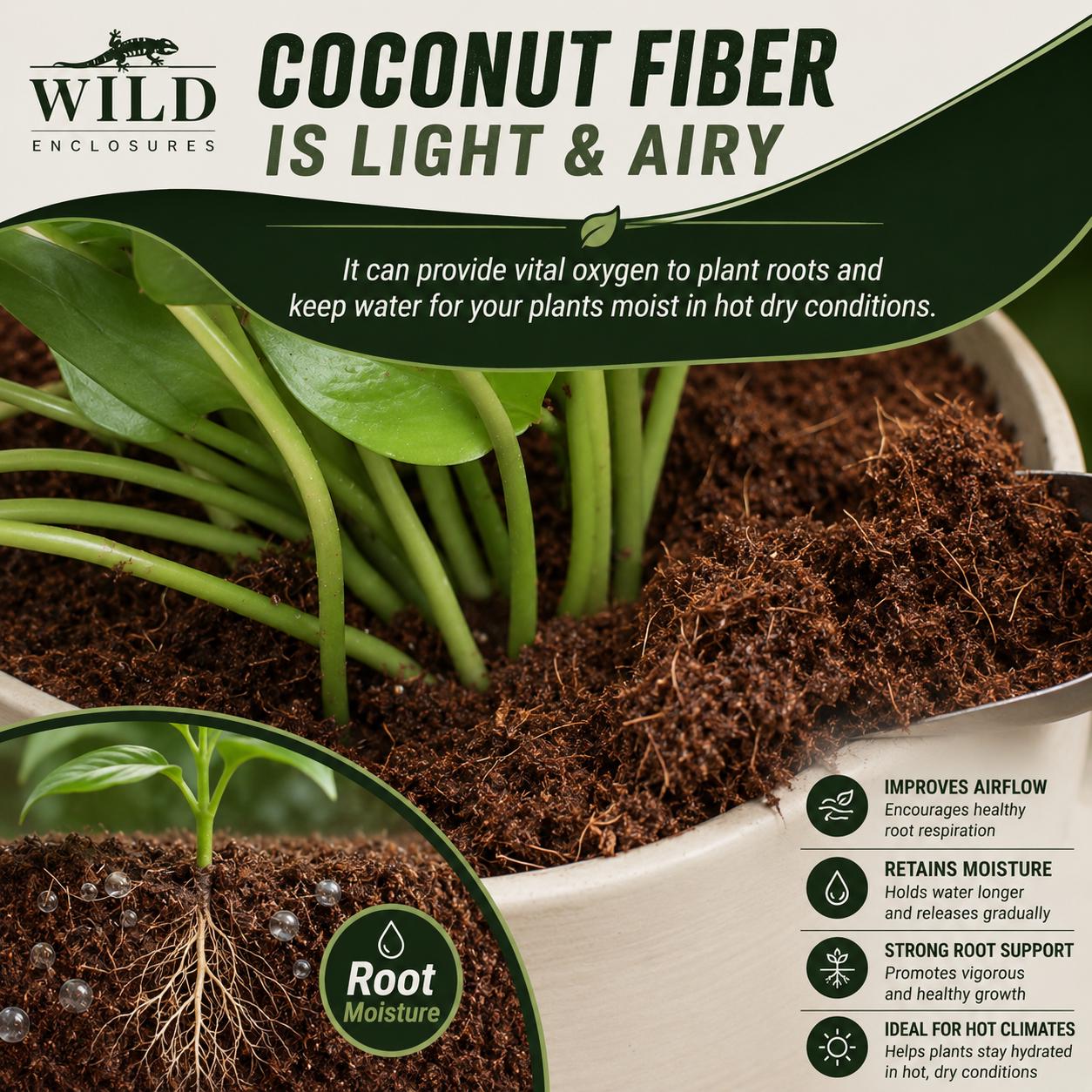 Wild Enclosures coconut fiber substrate infographic showing airy coco coir texture, moisture retention, root support, and natural growing medium benefits for plants and bioactive enclosures