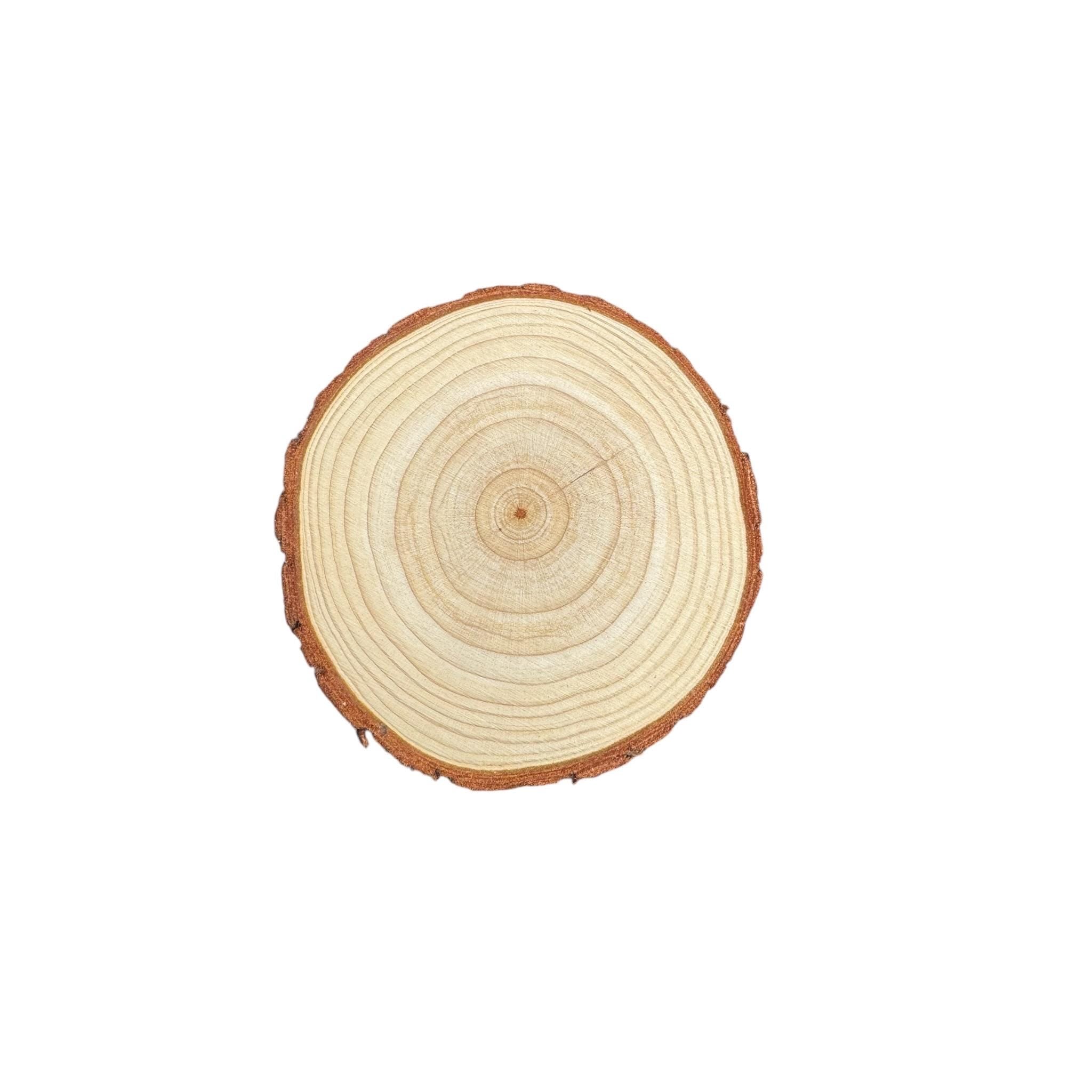 Natural unfinished round wood slice with bark edge and visible tree rings on a white background, rustic wood round for crafts, magnets, coasters, terrariums, and woodland decor.