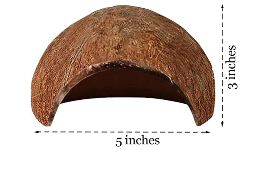 Natural coconut shell reptile cave hide with a rounded dome shape and approximate dimensions of 5 inches wide by 3 inches tall on a white background