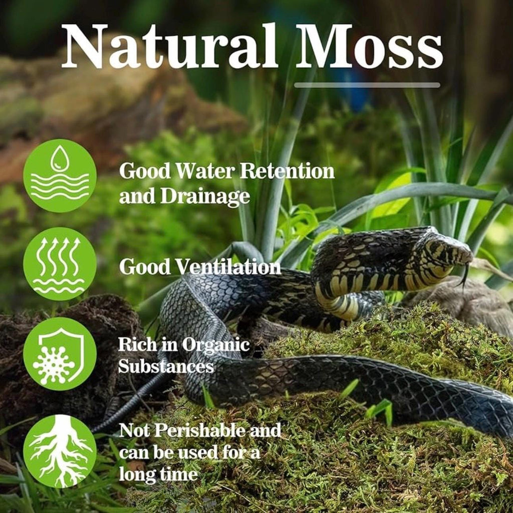 Cork Bark and Sphagnum Moss Bundle for Isopods, Reptiles & Bioactive Enclosures | Natural Terrarium Decor and Humidity Support