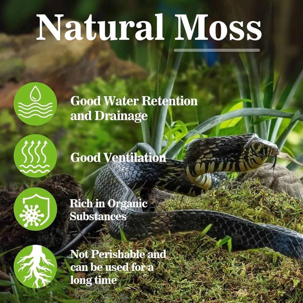 Image of natural moss with a snake. The text reads "Natural Moss" and lists benefits: good water retention, good ventilation, rich in organic substances, and not perishable. The moss is green and the snake is black and gray.