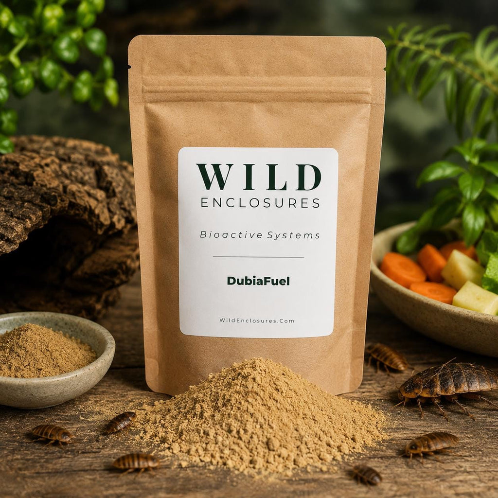 Kraft pouch of DubiaFuel premium dubia roach food with a pile of powdered feed in front. Displayed beside cork bark, vegetables, and Dubia roaches in a natural bioactive enclosure setting.