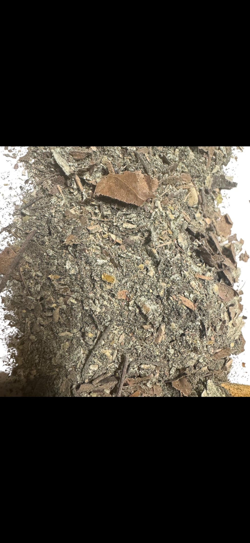 Cleanup Crew Bundle for Isopods and Springtails | CrewCrumble, Springtail Food and Microfauna Booster | Bioactive Terrarium Supplies