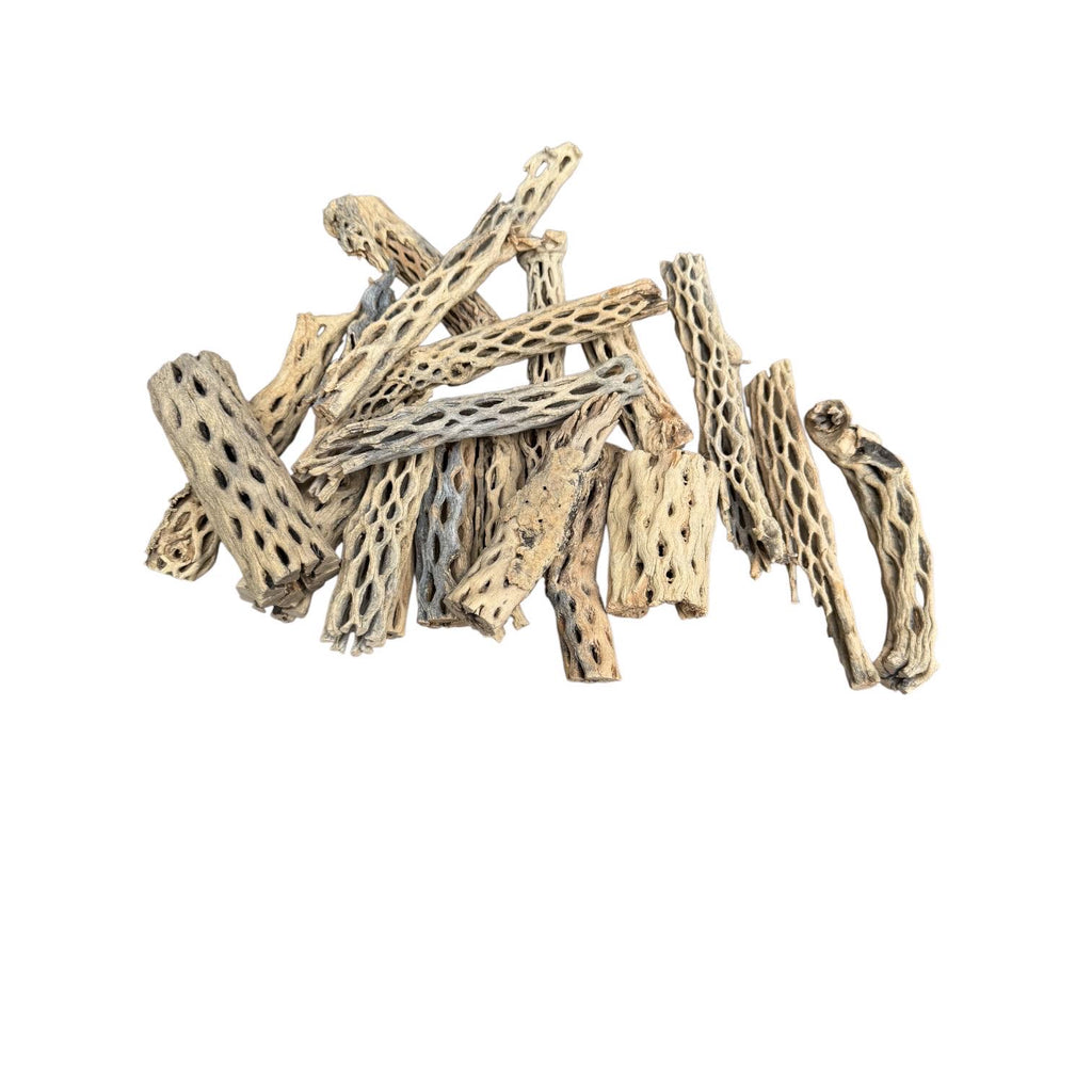 Assorted natural cholla wood pieces arranged on a white background, featuring various sizes and shapes suitable for bioactive enclosures, aquariums, and vivarium décor.