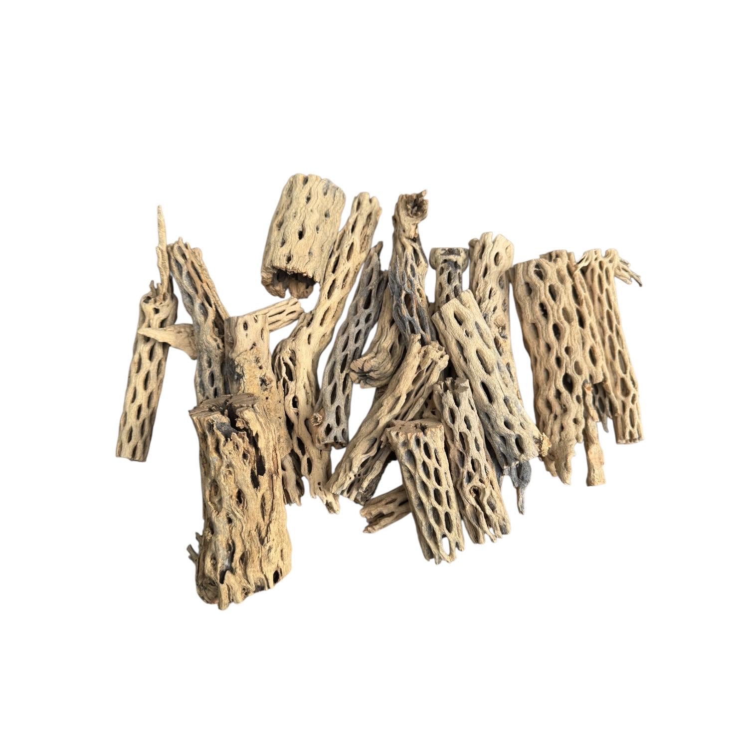 Large assortment of natural cholla wood pieces featuring porous textures, branching forms, and varied sizes for bioactive setups, hardscape projects, and decorative habitat enrichment.