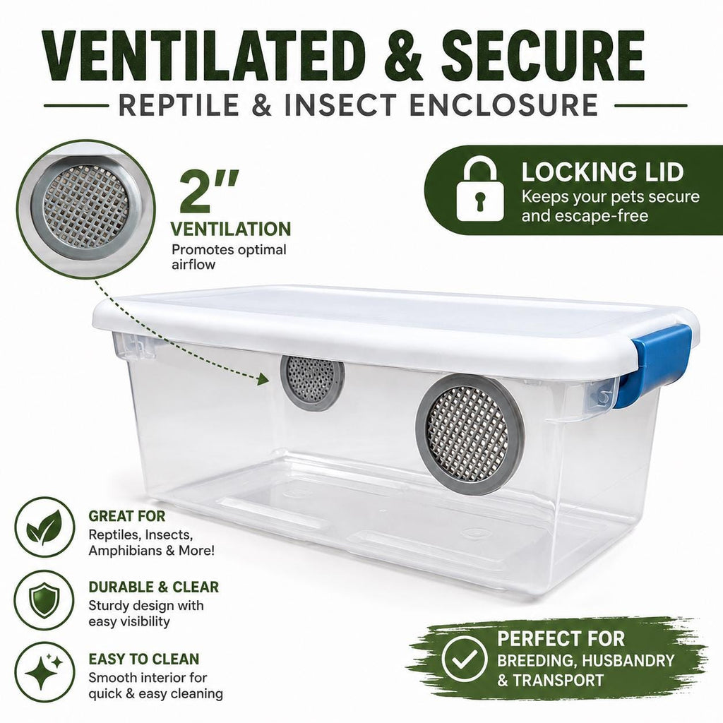 6 Qt Isopod Enclosure with 2” Ventilation | Locking Lid | Bioactive Terrarium Habitat