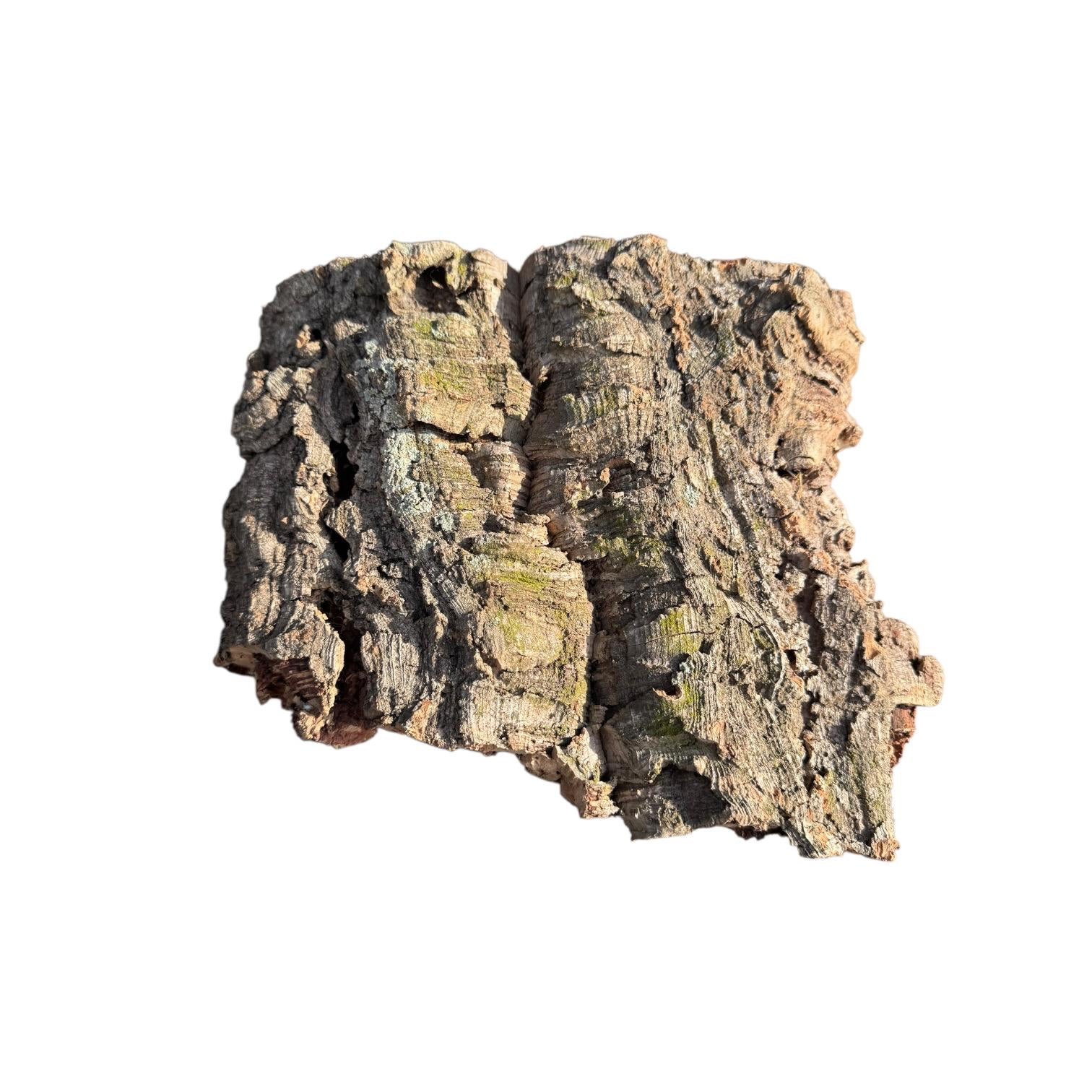 Large Natural Cork Bark Slabs for Reptiles & Bioactive Terrariums | Vivarium Background | Climbing Bark | Orchid Mount | Terrarium Decor