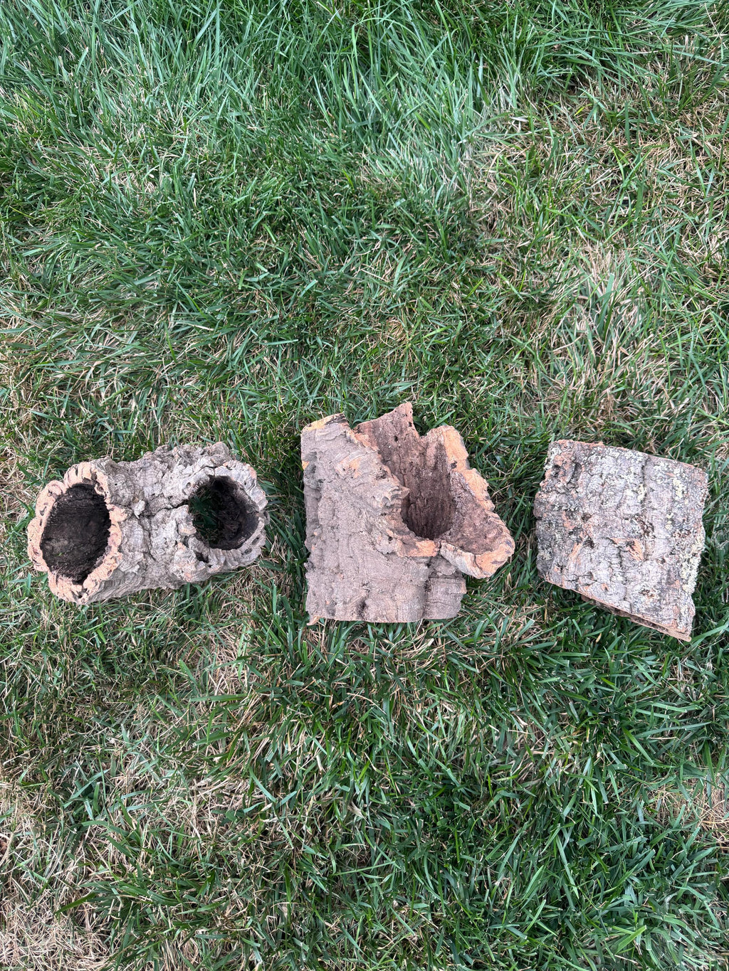 Three natural cork bark pieces displayed on grass, including two cork bark rounds and one cork bark slab. Ideal for reptile terrariums, bioactive vivariums, isopod habitats, orchid mounting, and natural enclosure décor.
