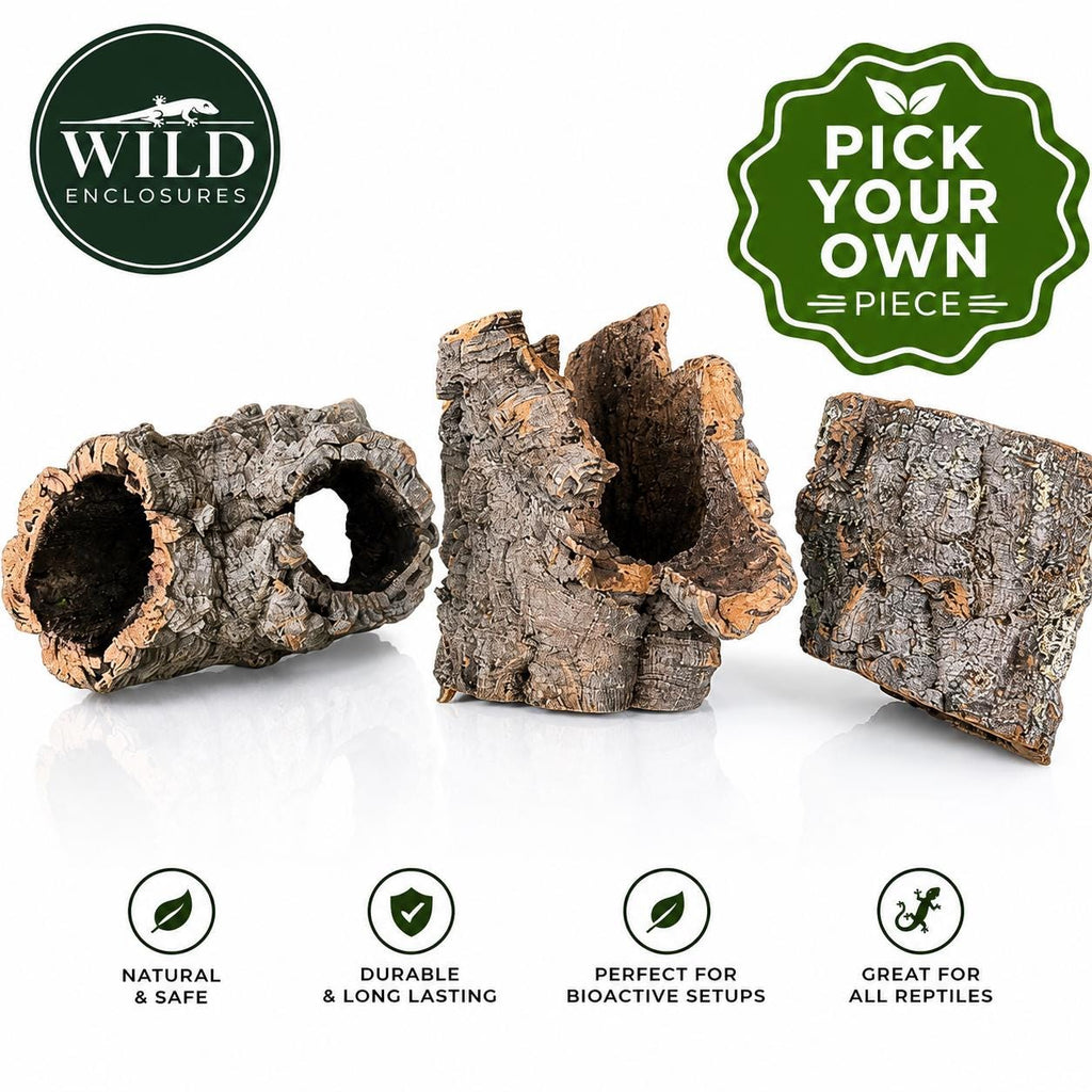 Premium natural cork bark rounds displayed on a white background with the Wild Enclosures logo and a “Pick Your Own Piece” badge. Three unique cork bark tubes are shown, ideal for reptile terrariums, bioactive vivariums, isopod habitats, and orchid mounting.