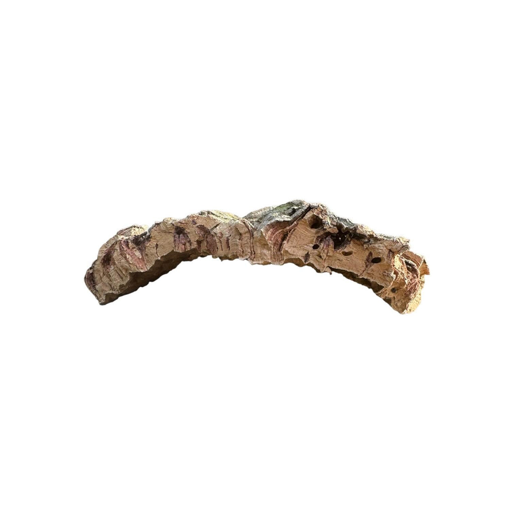 Large Natural Cork Bark Slabs for Reptiles & Bioactive Terrariums | Vivarium Background | Climbing Bark | Orchid Mount | Terrarium Decor
