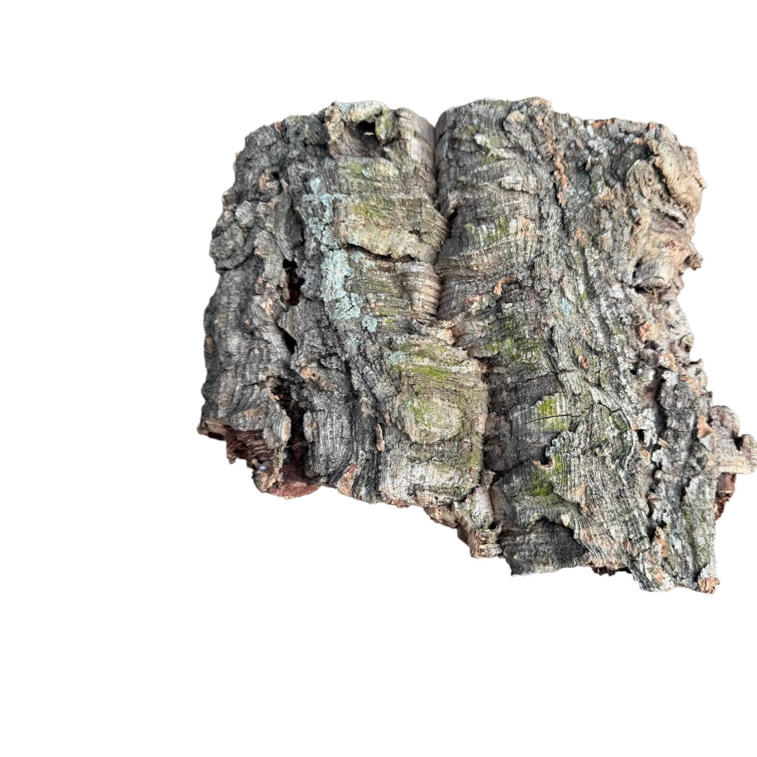 Large Natural Cork Bark Slabs for Reptiles & Bioactive Terrariums | Vivarium Background | Climbing Bark | Orchid Mount | Terrarium Decor