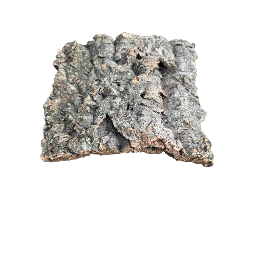 Large Natural Cork Bark Slabs for Reptiles & Bioactive Terrariums | Vivarium Background | Climbing Bark | Orchid Mount | Terrarium Decor