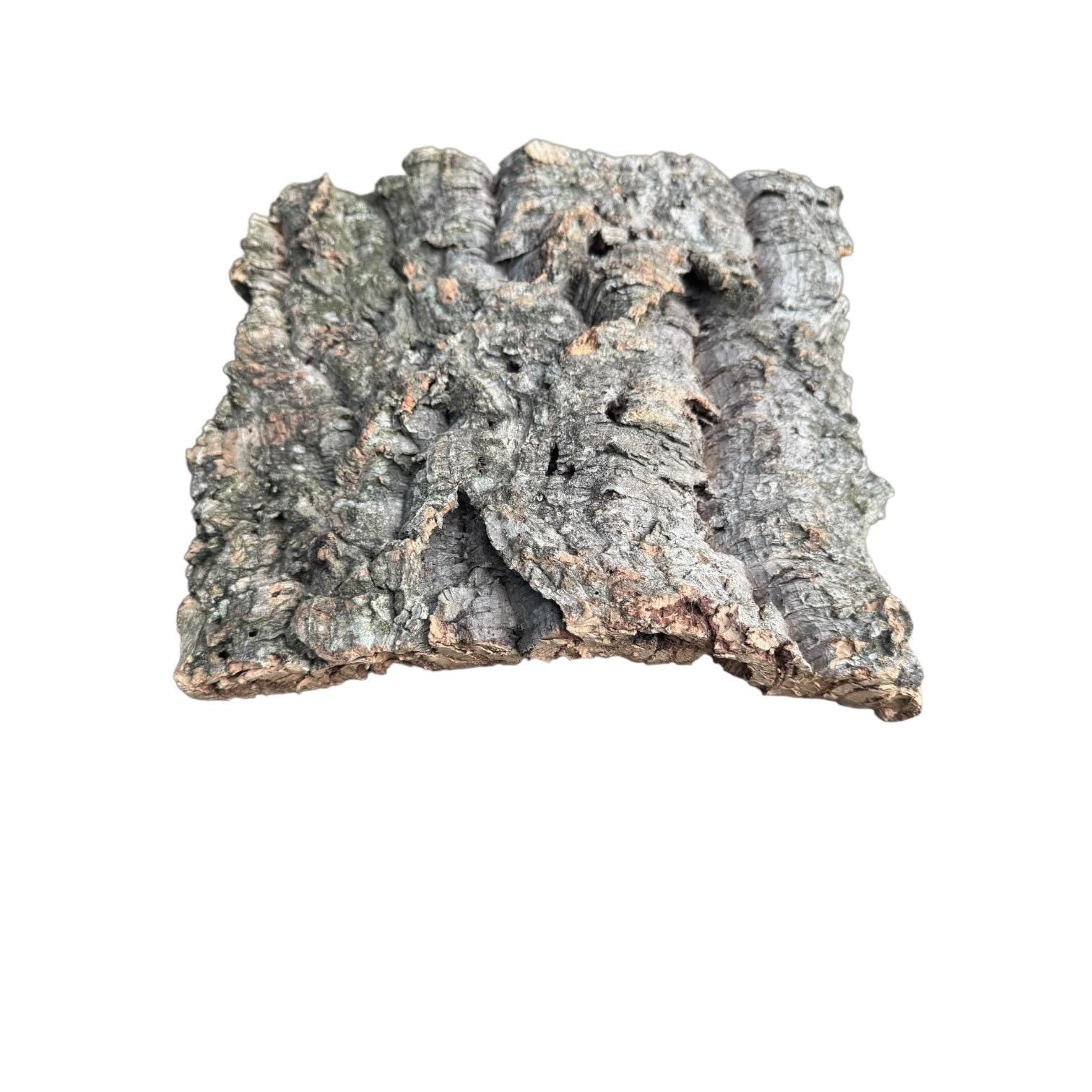 Large Natural Cork Bark Slabs for Reptiles & Bioactive Terrariums | Vivarium Background | Climbing Bark | Orchid Mount | Terrarium Decor