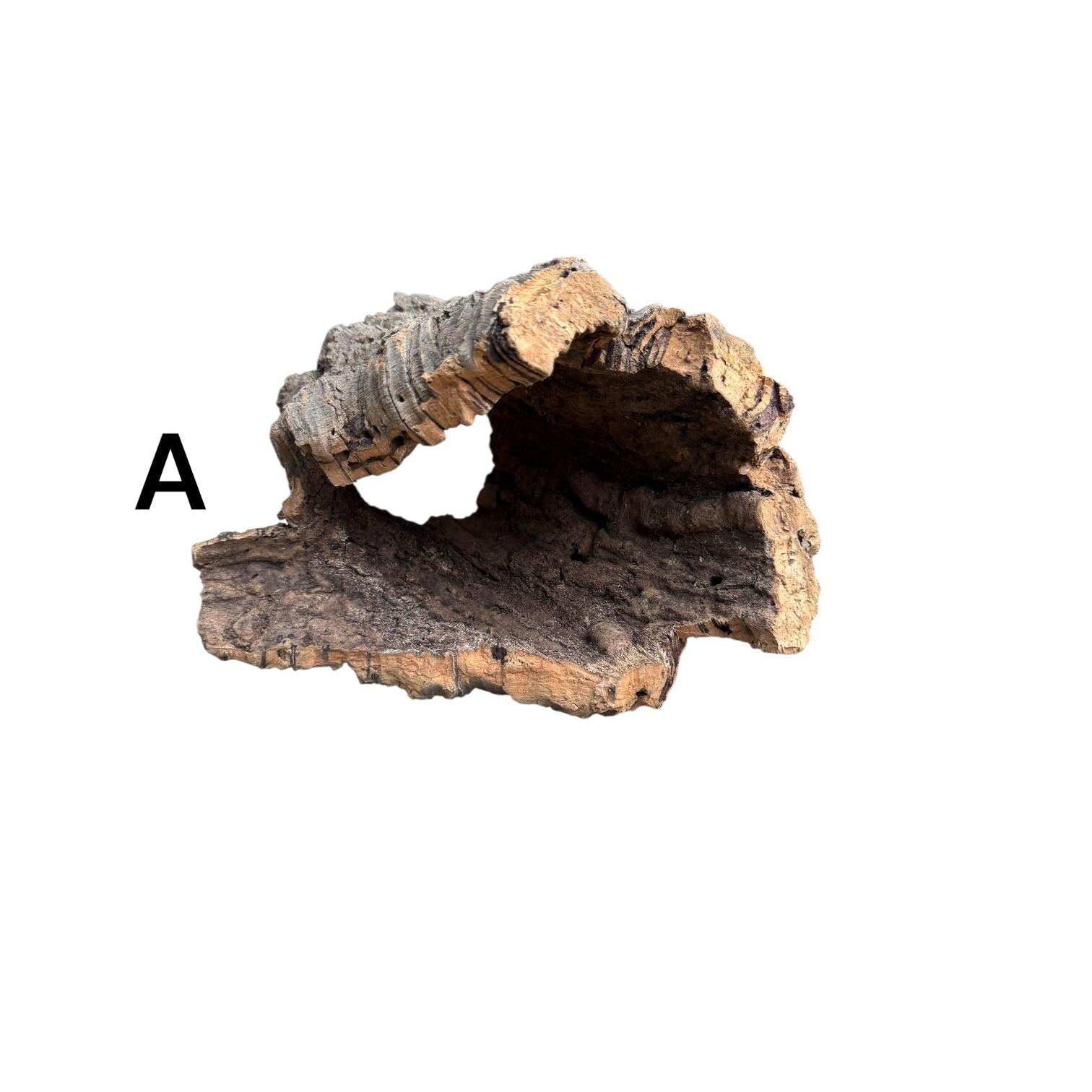 Natural cork bark half-round labeled “A” on a white background, featuring a curved arch shape with a spacious interior hide, rugged texture, and thick bark. Perfect for reptiles, amphibians, isopods, and bioactive terrariums.